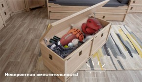 Сундук Валенсия Дуб сонома (Имп) в Нягани - nyagan.mebel-e96.ru