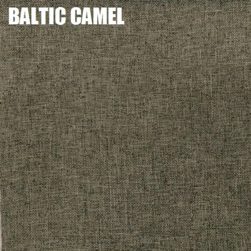 Диван-кровать Комфорт без подлокотников BALTIC CAMEL (2 подушки) в Нягани - nyagan.mebel-e96.ru