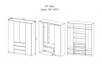 Шкаф распашной Мори 1600 мм графит (ДСВ) в Нягани - nyagan.mebel-e96.ru