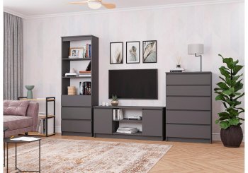 Стенка Мори графит модульная ( ДСВ) в Нягани - nyagan.mebel-e96.ru