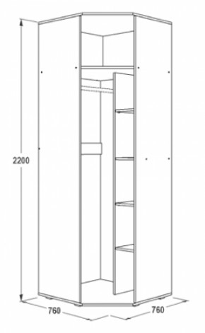 Шкаф 1-но дверный угловой Ольга-14 (760*760) в Нягани - nyagan.mebel-e96.ru