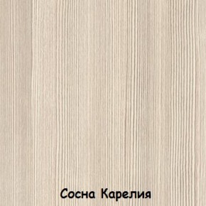 Шкаф 900 мм 2-х створчатый ДМ-02 Серия 2 (СВ) в Нягани - nyagan.mebel-e96.ru