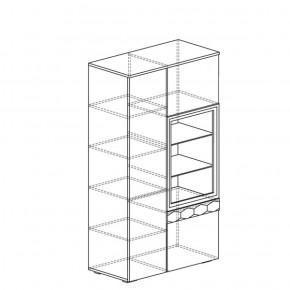 Шкаф многоцелевой Дели 62 (Яна) в Нягани - nyagan.mebel-e96.ru