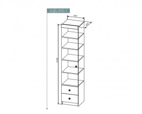 Шкаф Сканди 450 мм, ШД450.1 (ДСВ) в Нягани - nyagan.mebel-e96.ru