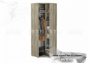 Шкаф угловой ШК-21 Наоми (БТС) в Нягани - nyagan.mebel-e96.ru