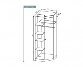 Шкаф угловой Сканди , ШДУ765.1 (ДСВ) в Нягани - nyagan.mebel-e96.ru