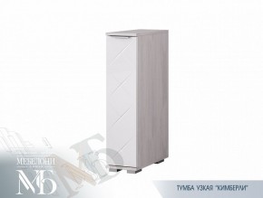 Тумба узкая ТБ-21 Кимберли (БТС) в Нягани - nyagan.mebel-e96.ru | фото